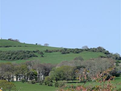 Picture 29